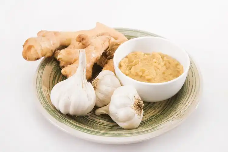 5 Best Garlic Ginger Paste Substitutes